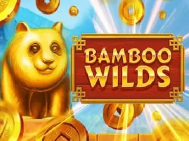 Winarius Casino screenshot